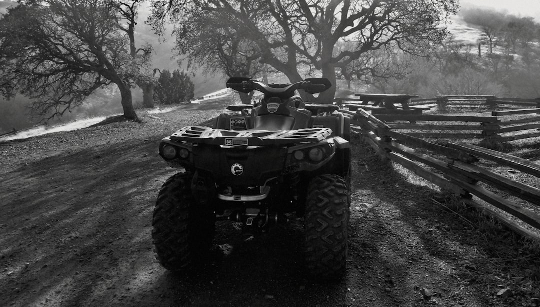 Photo ATV, Banshee